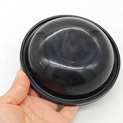 Ar30/40 पंपों के लिए ब्लूफ्लेक्स डायफ्राम किट