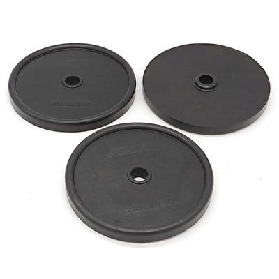 AR30/AR40 पंपों के लिए 3 साल की वारंटी और 7-21 दिनों की डिलीवरी के साथ 50 शोर डायाफ्राम झिल्ली