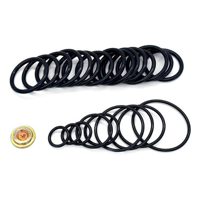 15#10 स्टाइल प्रेशर सेटिंग टूल के लिए,000 पीएसआई पैकिंग किट - वायरलाइन एडाप्टर किट के साथ कच्चे तेल संगत रिड्रेस किट (WAK)