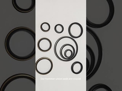 हम्मर यूनियन सील / रबर यूनियन सील रिंग 6000-15000 पीएसआई दबाव प्रतिरोध के साथ